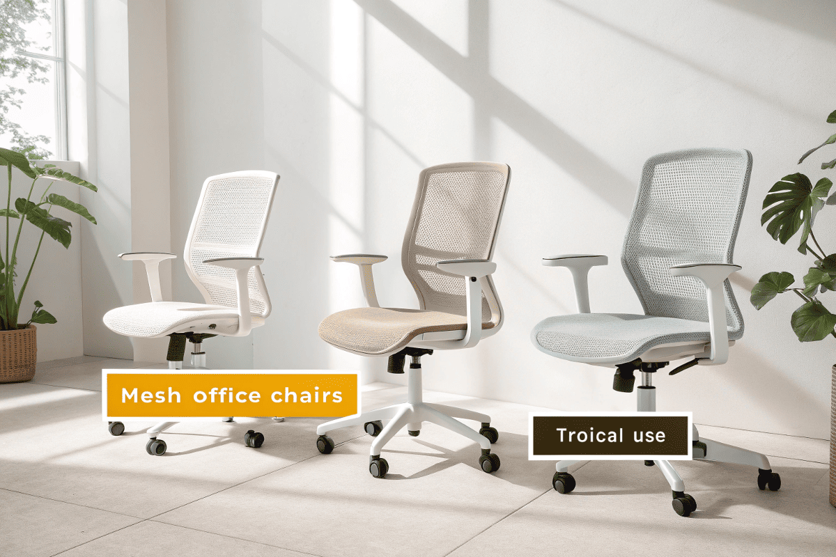 mesh office chairs in bright room